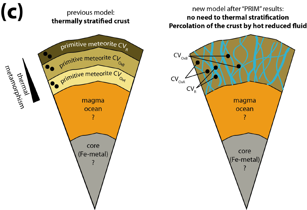 Planetesimals in our Early Solar System as inferred from PRIM results (compared to prior vision)