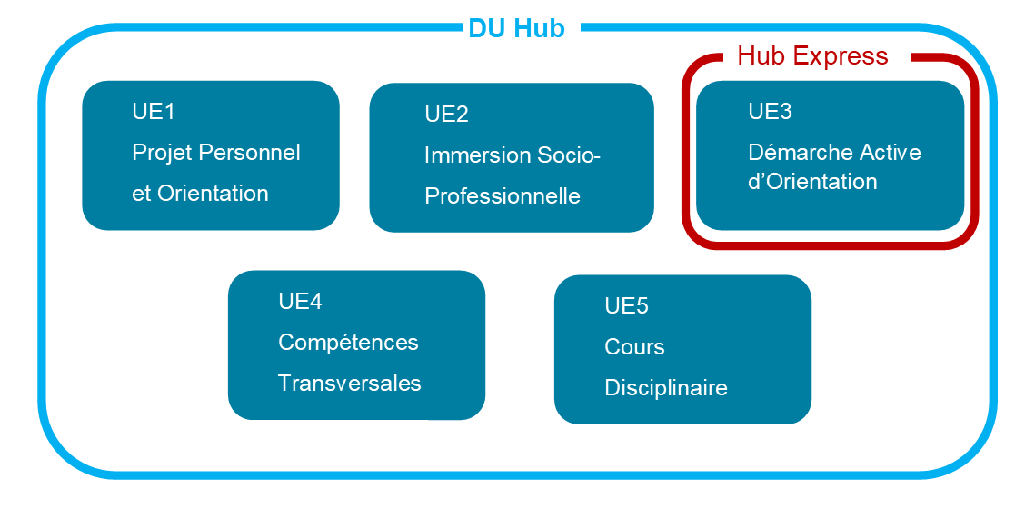 programme hub 2024