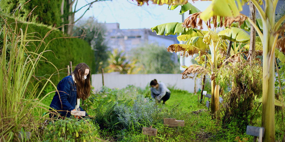 Campus éco-responsables