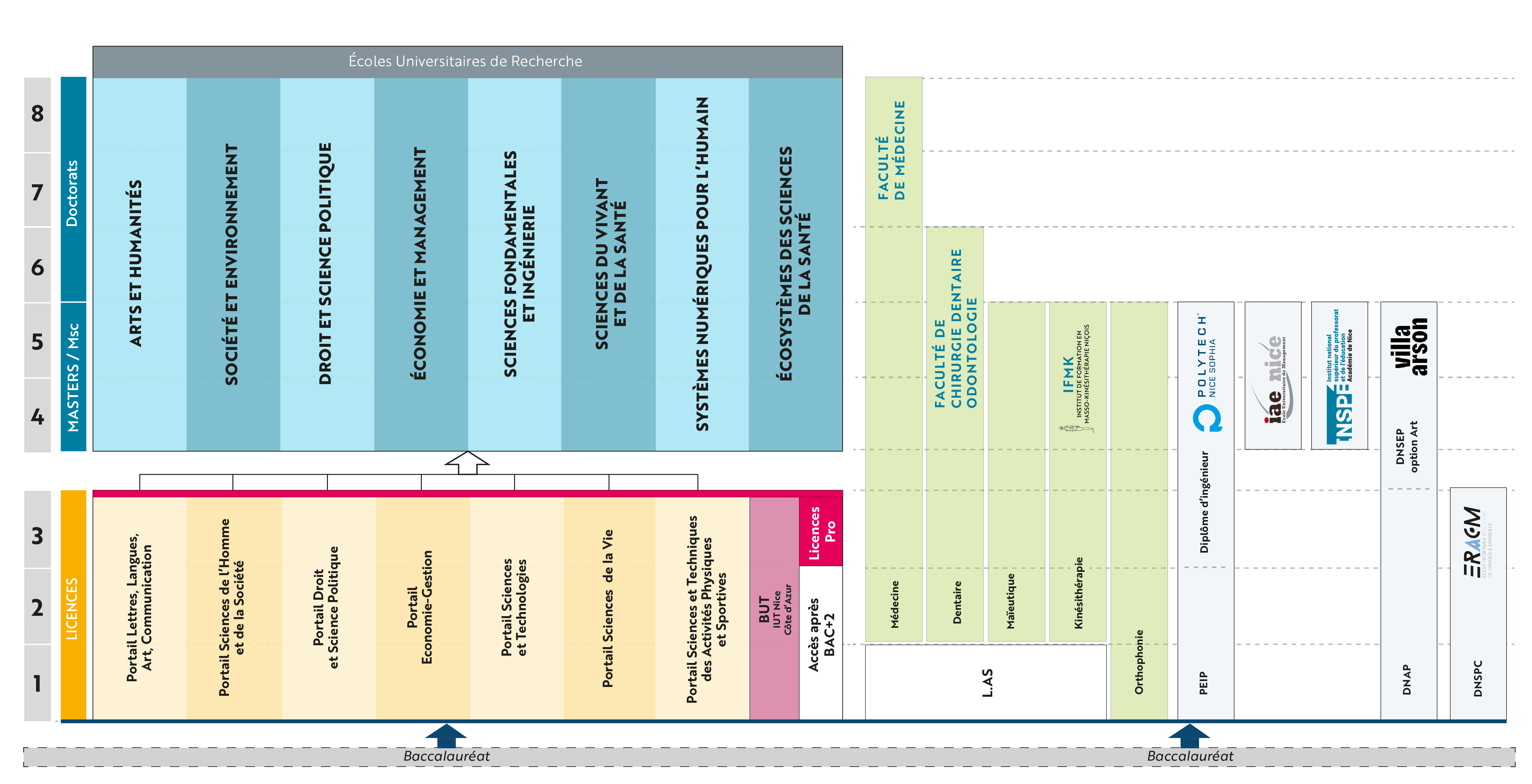 Schema Formation 