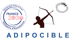 Adipo-cible logo