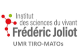 Logo transporteurs, Imagerie et Radiothérapie en Oncologie - Mécanismes Biologique des Altérations du Tissu Osseux (TIRO-MATOs)