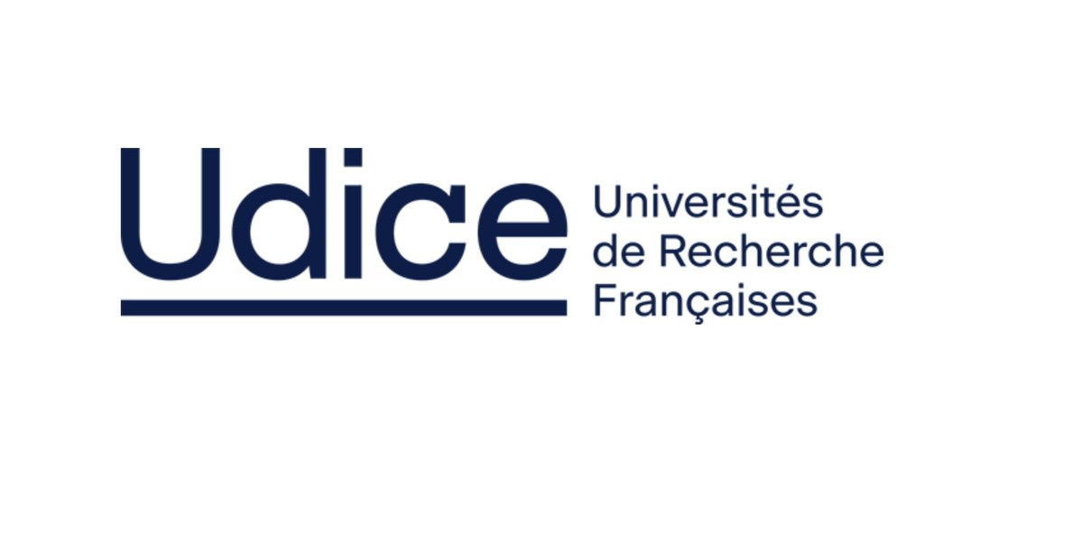 Logo UDICE