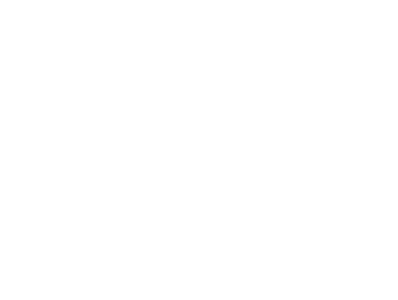 Logo DS4H - Blanc - seul - FR