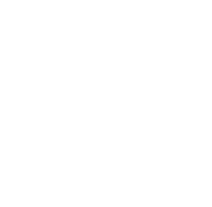Logo CNRS Blanc