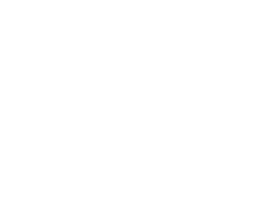 Logo ICE - Blanc