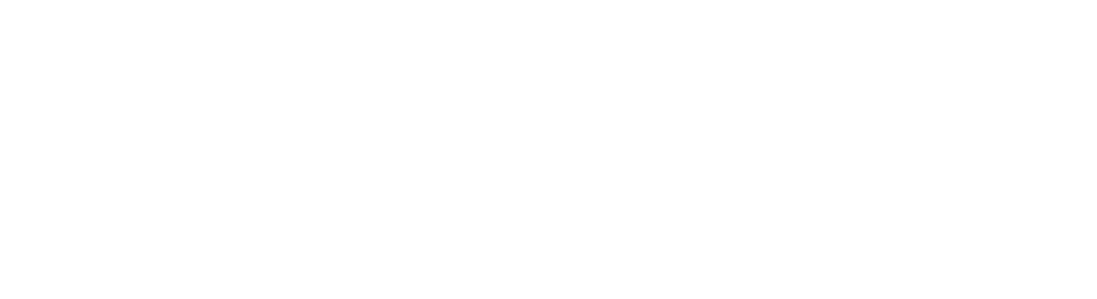 INPHYNI - logo blanc