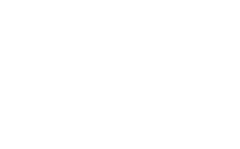 MSHS Sud-Est - Logo Blanc