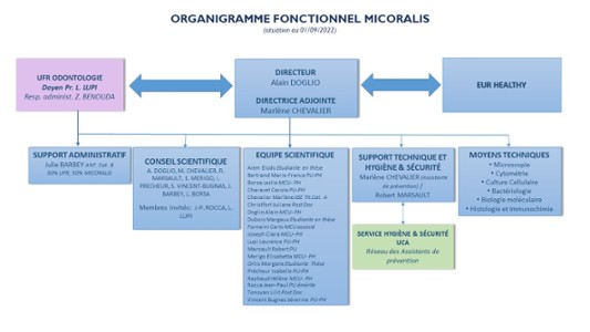 Organigramme MICORALIS