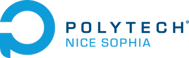 logo Polytech PNG quadri