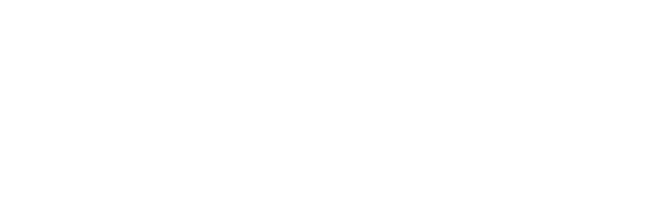 Logo Polytech - Blanc - seul