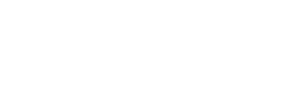 logo Polytech PNG blanc