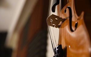 Violon