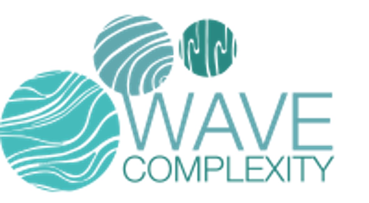 Wavecmplexity logo